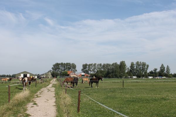 Camping Grijpskerke