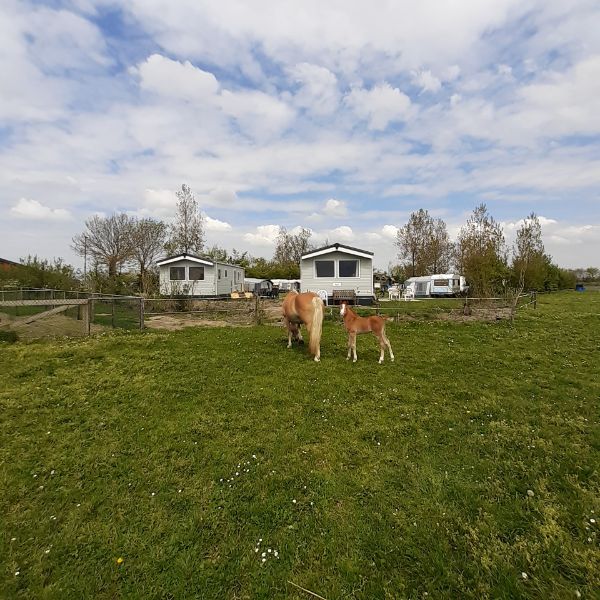 Camping Grijpskerke