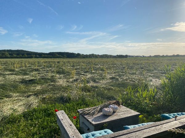 Camping Zoutelande